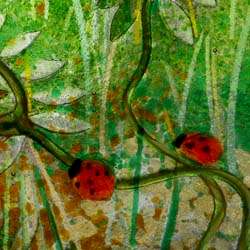 Polzeath Porch art glass 